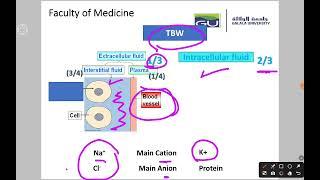 physiology lecture 2 with DR.RAWAN SALAM