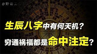 复旦教授自学八字命理窥探天机，难道命运真的能提前预知吗？【野话老故事】