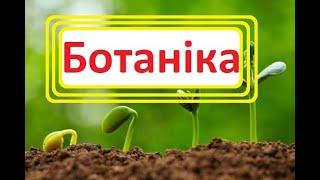 Ботаніка.  Що вивчає ботаніка?