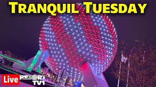 Live: Tranquil Tuesday at Epcot - A Relaxing Evening - Walt Disney World Live Stream - 12-3-24