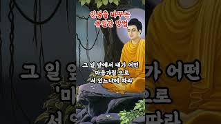 인생을 바꾸는 유일한 방법 부처님말씀|마음가짐|인간관계|마음치유|영적성장|마음공부|감정다스리기|불교명언|불교오디오북