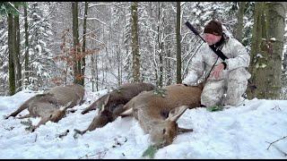 Kristoffer Clausen presenting different hunts with Savage rifles, Leupold optics and Hornady ammo.