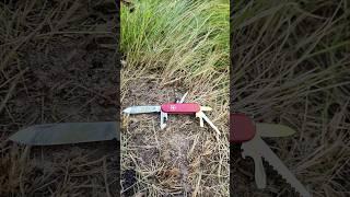 The Victorinox Camper Excellent lightweight EDC. #swissarmyknife #victorinox #edc #bushcraft