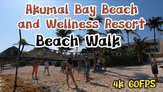  [4K] Beach Walk Akumal Bay Beach and Wellness Resort 4K Mexico