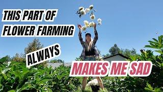 This part of flower farming ALWAYS makes me sad (but it has to be done)!