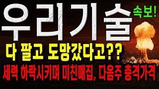 우리기술 주가 하락했지만 세력은 미친듯이 샀다! 우리기술 진짜 가격 이번주 폭발시킨다! 우리기술 주가 전망