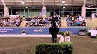 Sydney CDI 2013 - David Shoobridge 4th in the Hamilton Island Grand Prix Freestyle