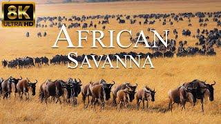 African Savanna 8K ULTRA HD | Wild Animals of African Safari | Relaxation Film