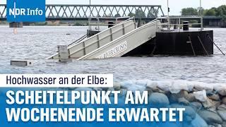 Hochwasser im Norden: Höchste Pegelstände der Elbe am Wochenende erwartet | NDR Info