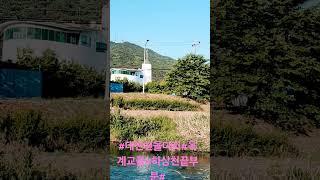 #대전천 하상도로끝 돌다리 뚝방길을 걷던길에  아름다운 장미꽃을 만나다#