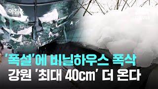 '폭설'에 비닐하우스 폭삭…강원 지역 '최대 40cm' 더 온다 / JTBC 아침&