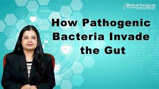 Pathogenic bacteria exploit intestinal mucus sugar to infect the gut