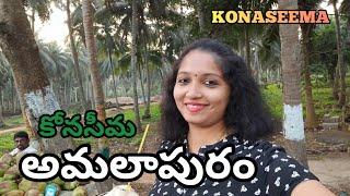 AMALAPURAM | KONASEEMA | BEAUTIFUL CINEMATIC LOCATION | #USHARAVI |