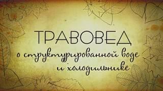 Травовед  О структурированной воде и холодильнике  Рассказывает Моряков Сергей Викторович