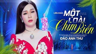 Liên Khúc Một Loài Chim Biển - Đào Anh Thư | Liên Khúc Bolero Mới Nhất (OFFICIAL MV)