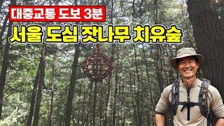 대중교통 도보 3분! 서울 도심 한복판 '피톤치드 잣나무 치유숲' | 도심산책 | 대중교통 당일치기 여행ㅣ지하철 여행ㅣ트레킹 코스ㅣ서울산책