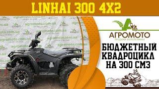 Обзор БЮДЖЕТНОГО квадроцикла Linhai 300 4х2 - все ПЛЮСЫ и МИНУСЫ