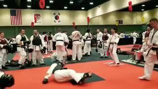 Karate Knockout