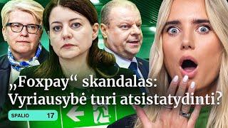 FOXPAY | KUR NAVICKIENĖ | BOMBINIS BIUDŽETAS | One Direction | PASAULINIS KARAS | Tiek žinių