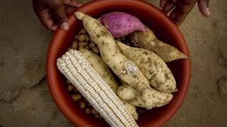 Professor Julian May, Director: Centre of Excellence in Food Security