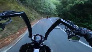 Kawakawa to Kaiaua on the V-ROD