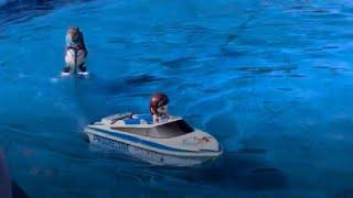 A Squirrel On Waterskis.. | Daily Dose Of Dopamine