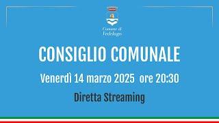 CONSIGLIO COMUNALE- SESSIONE ORDINARIA - PER IL GIORNO 14 marzo 2025