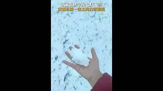 甘肃张掖罕见七月飞雪