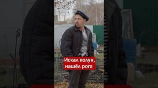 Когда Батя решил дров наколоть батя баня дрова орехов