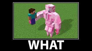 WAIT WHAT - Minecraft #23