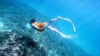 보라카이 호핑투어 프리다이빙 스노클링 스킨다이빙 boracay boracayfreedive boracayfreediving boracaydiving