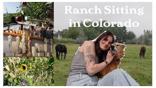 Week In My Life - Ranch Sitting In Colorado