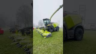 Claas Jaguar 970 in der 50 Years Edition 