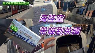 [貓咪海陸空移民英國] 從香港經荷蘭到英國慳錢路線#移民英國#寵物移民