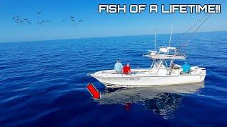 20 MILES Offshore When We Hooked the FISH OF a LIFETIME!! CATCH and COOK