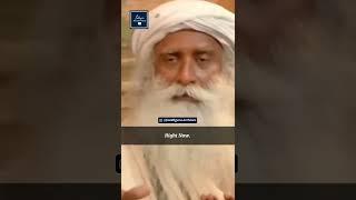 How To Use Your Intelligence In Its Full Capacity? | Sadhguru Archives | #sadhguru #yoga #yoga