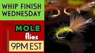 Tying More Mole Flies--Live on Whip Finish Wednesday
