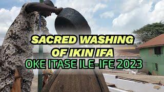 Sacred Washing of Ikin Ifa @ the World Ifa Temple/Oke Itase Ile-Ife World Ifa Festival 2023