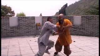 Shi Miao Dian Shaolin Qinna 释妙滇 少林擒拿