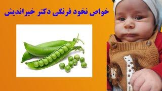 خواص نخود فرنگی دکتر خیراندیش