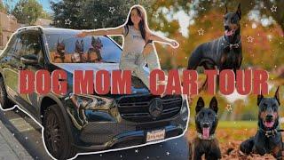 DOG MOM CAR TOUR