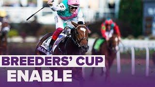 ENABLE wins Longines Turf | Breeders' Cup 2018