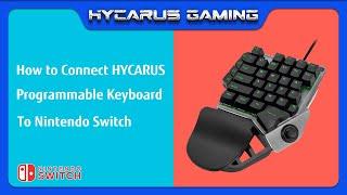 How to Connect HYCARUS Gaming Keyboard with Built-in MnK Adapter (HC-20385) to Nintendo Switch