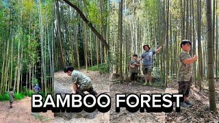 VISITING ATLANTA'S HIDDEN BAMBOO FOREST || HIKING INDIAN TRAIL EAST PALISADES