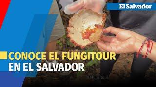 La fungicultura en El Salvador