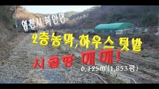 (No691) 2층다락방 농막주택에 비닐하우스 텃밭 계곡옆 시골땅 급매!