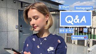 플로라의 첫 Q&A 영상 (남친과 첫 만남, 한국 온 계기, Instagram 등등)