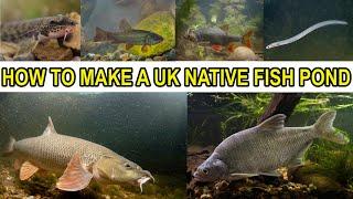 Making a UK Native Fish Pond