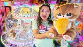 Playing for Cute Cats in the Gem Pusher and Claw Machines!