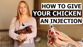 How to Give a Chicken an Injection - Intramuscular & Subcutaneous